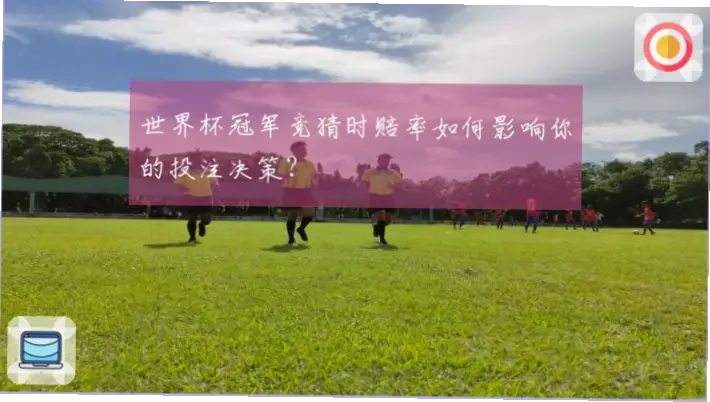 世界杯赔率表如何影响投注决策？